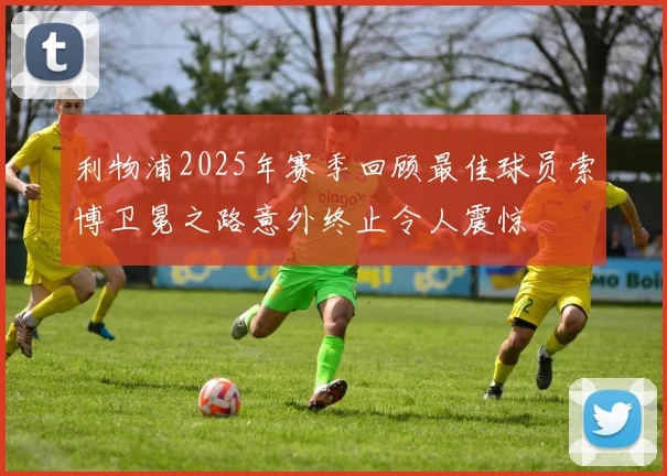 利物浦2025年赛季回顾最佳球员索博卫冕之路意外终止令人震惊