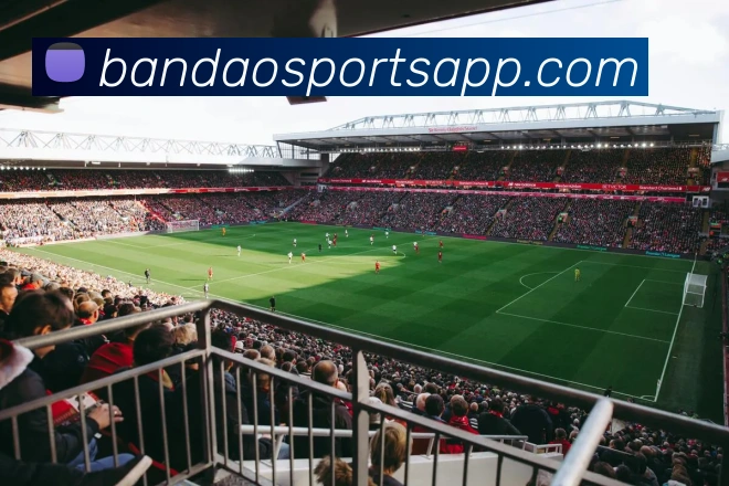 半岛体育平台生态图