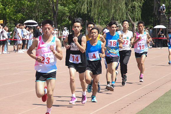 波斯尼亚队奋勇拼搏，欧洲联赛预选赛赛场硝烟